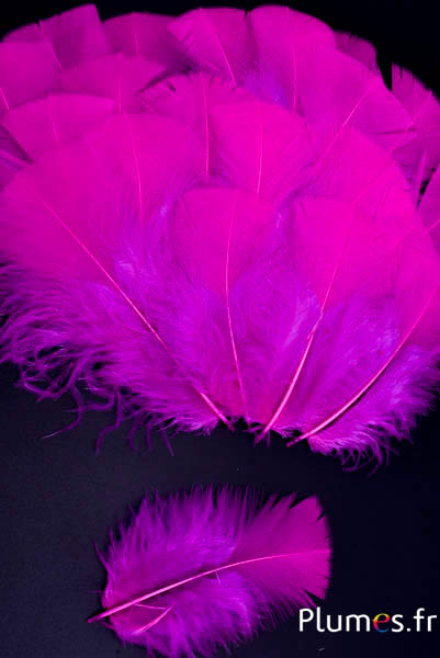 Dinde - 6-8 cm - fuchsia